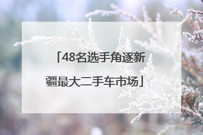 48名选手角逐新疆最大二手车市场