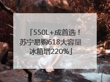 550L+成首选！苏宁易购618大容量冰箱增220%