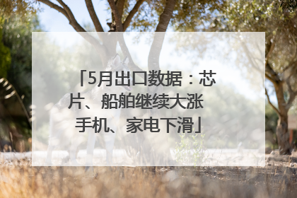 5月出口数据：芯片、船舶继续大涨 手机、家电下滑