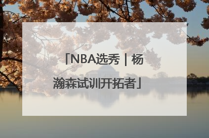 NBA选秀｜杨瀚森试训开拓者